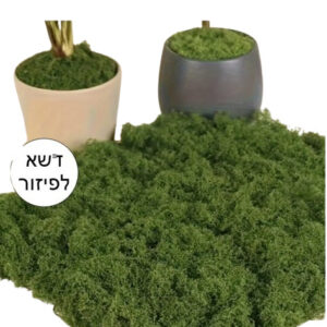 דשא לפיזור וקישוט שולחן