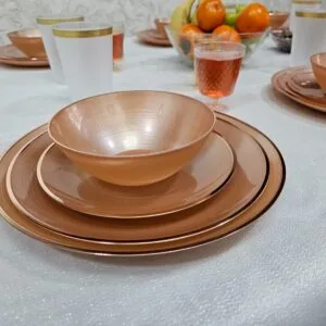 צלחות דגם 'ליגה' רוז - 10 יחידות - ענק